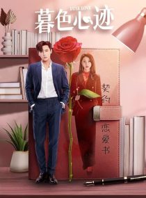دانلود سریال چینی Dusk Love450982-710948250