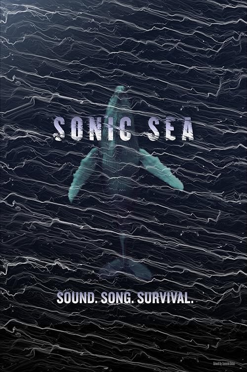 دانلود مستند Sonic Sea 2016