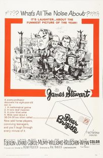 دانلود فیلم Dear Brigitte 1965449783-1667226581