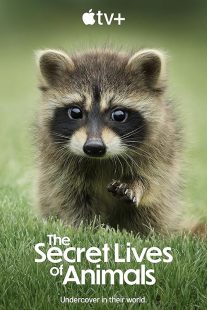 دانلود مستند The Secret Lives of Animals448835-562819528