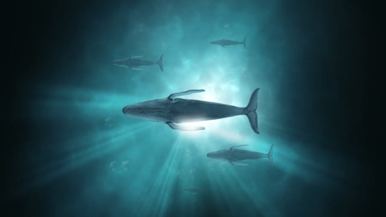 دانلود مستند Sonic Sea 2016