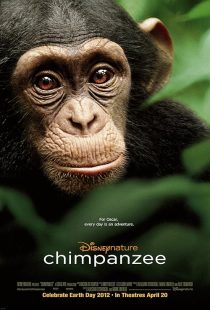 دانلود مستند Chimpanzee 2011451940-1981326678